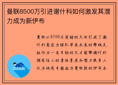 曼联8500万引进谢什科如何激发其潜力成为新伊布